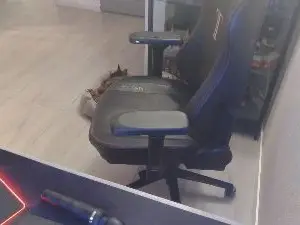 Leukemeidutr  live sex cam