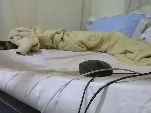 Hunnies1  live sex cam