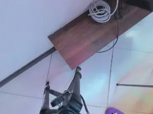 Bloom_B  live sex cam