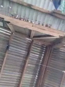 NaughtyMom69XXX  live sex cam