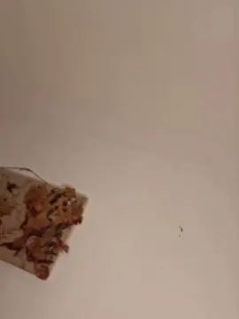 Venus_brave  live sex cam