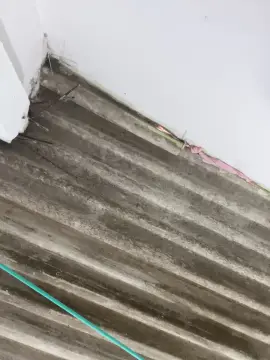 HadeSmit  live sex cam