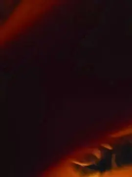 NicoySaki  live sex cam