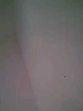 SrtaLuiza  live sex cam