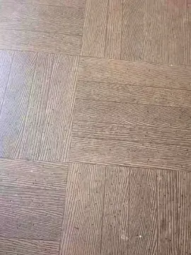 Tortuga  live sex cam