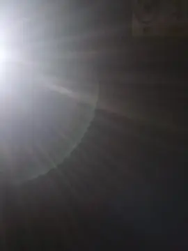 Violavit  live sex cam