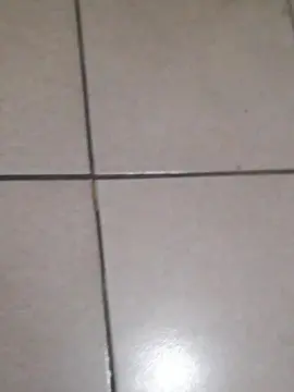 Ramiroirusta21  live sex cam