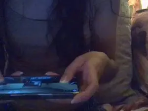 Shycutiee  live sex cam