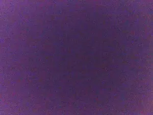 Mokkeltje9  live sex cam