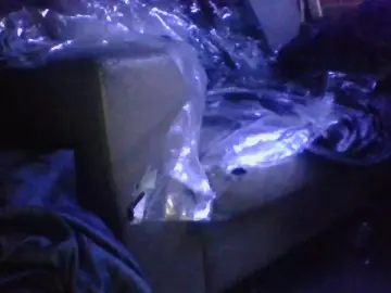Devilsangels3  live sex cam