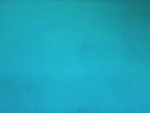 Annieste  live sex cam
