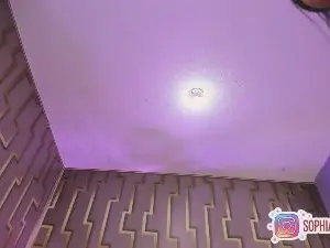 Denin_rose  live sex cam