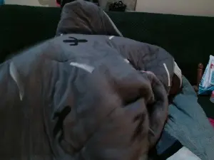 Leilan  live sex cam