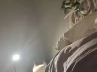 Princessfeefee3  live sex cam