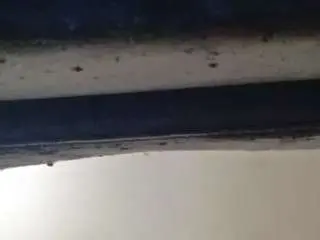 Sexyier2026  live sex cam