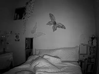 Voyeurcam-lolavalentine23  live sex cam
