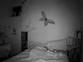 Voyeurcam-lolavalentine23  live sex cam