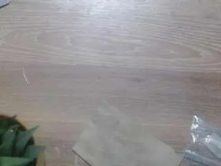 Aliagarcia  live sex cam