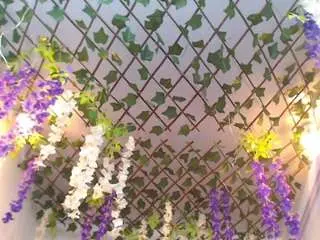 Blondesquirt  live sex cam
