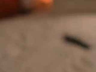 Carolart  live sex cam