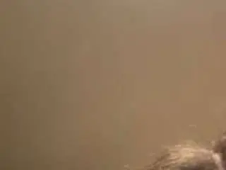 Sapphirelotus  live sex cam