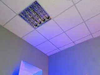 Ashleyjonse  live sex cam