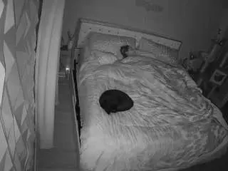 Voyeurcam-whitneyoc-01  live sex cam