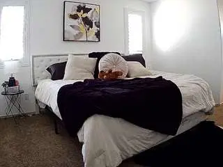 Voyeurcam-whitneyoc-01  live sex cam