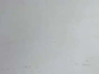 Mafestar777  live sex cam