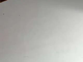 Mafestar777  live sex cam