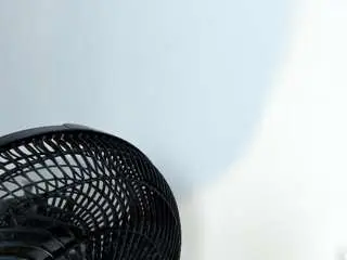 Tessamonroe  live sex cam