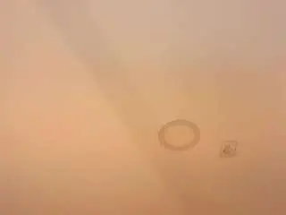 Juliana-ts  live sex cam