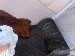 Pamelaaddams  live sex cam