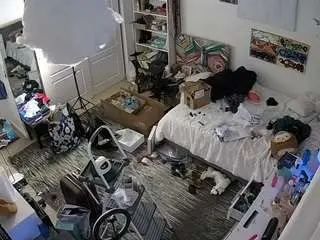 Voyeurcam-hornyhostel-02  live sex cam