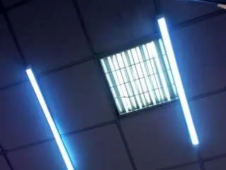 Issysleblanc  live sex cam