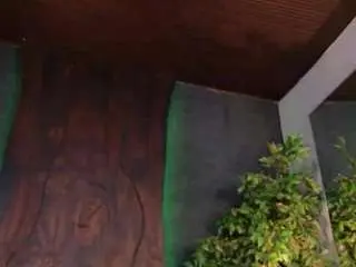Miiastonnee  live sex cam