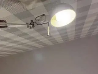 Paulseidlitz  live sex cam