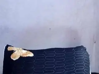 Xsweetbunny91x  live sex cam
