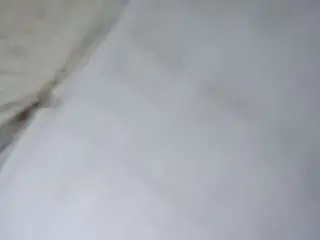 Xsweetbunny91x  live sex cam