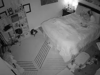 Voyeurcam-hornyhostel-01  live sex cam