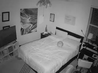 Voyeurcam-hornyhostel-01  live sex cam