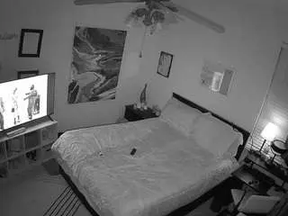 Voyeurcam-hornyhostel-01  live sex cam