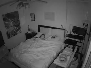 Voyeurcam-hornyhostel-01  live sex cam