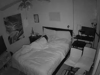 Voyeurcam-hornyhostel-01  live sex cam