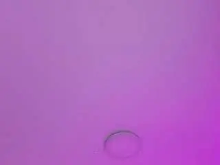 Joycethompson  live sex cam