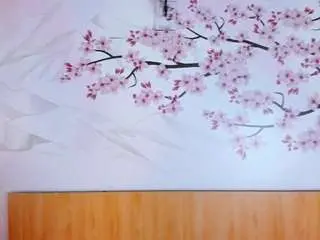 Laura-torrees  live sex cam