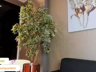Sexyebonyvip  live sex cam