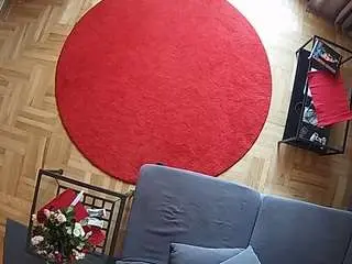 Voyeurcam-julmodels-living-7  live sex cam