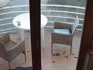 Voyeurcam-julmodels-living-7  live sex cam