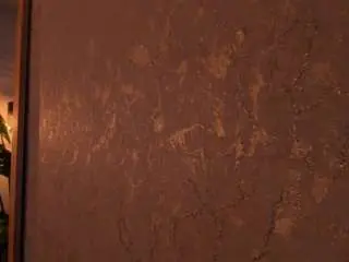 Dafnne-hills  live sex cam